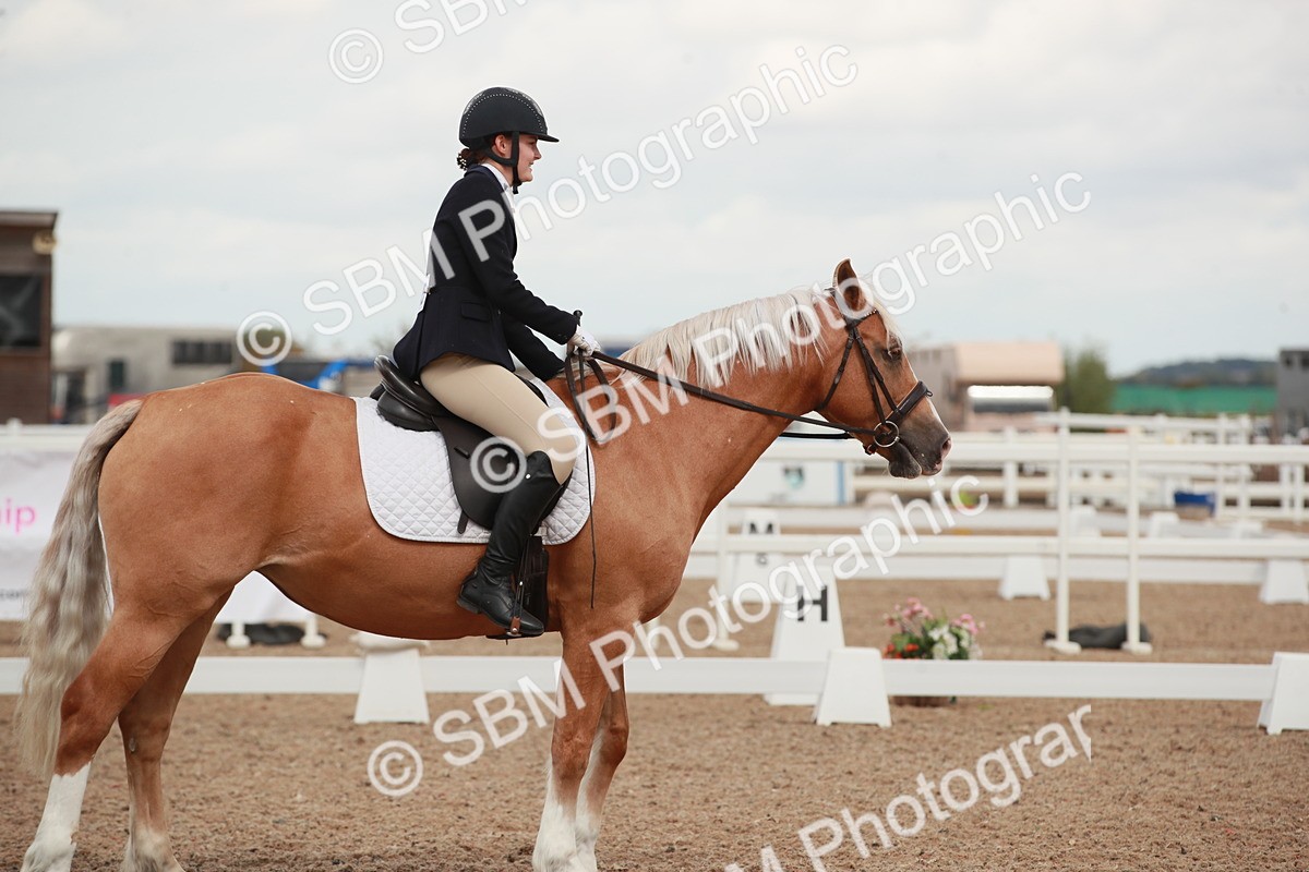 SBM_05907 - Class 32 - Novice 1