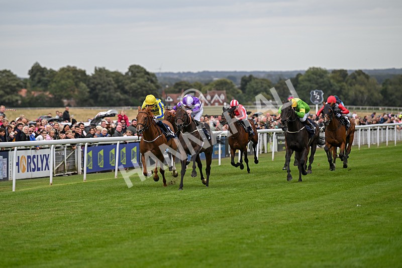 250824-Race 2-Ludos Landing-2924 - Race 2