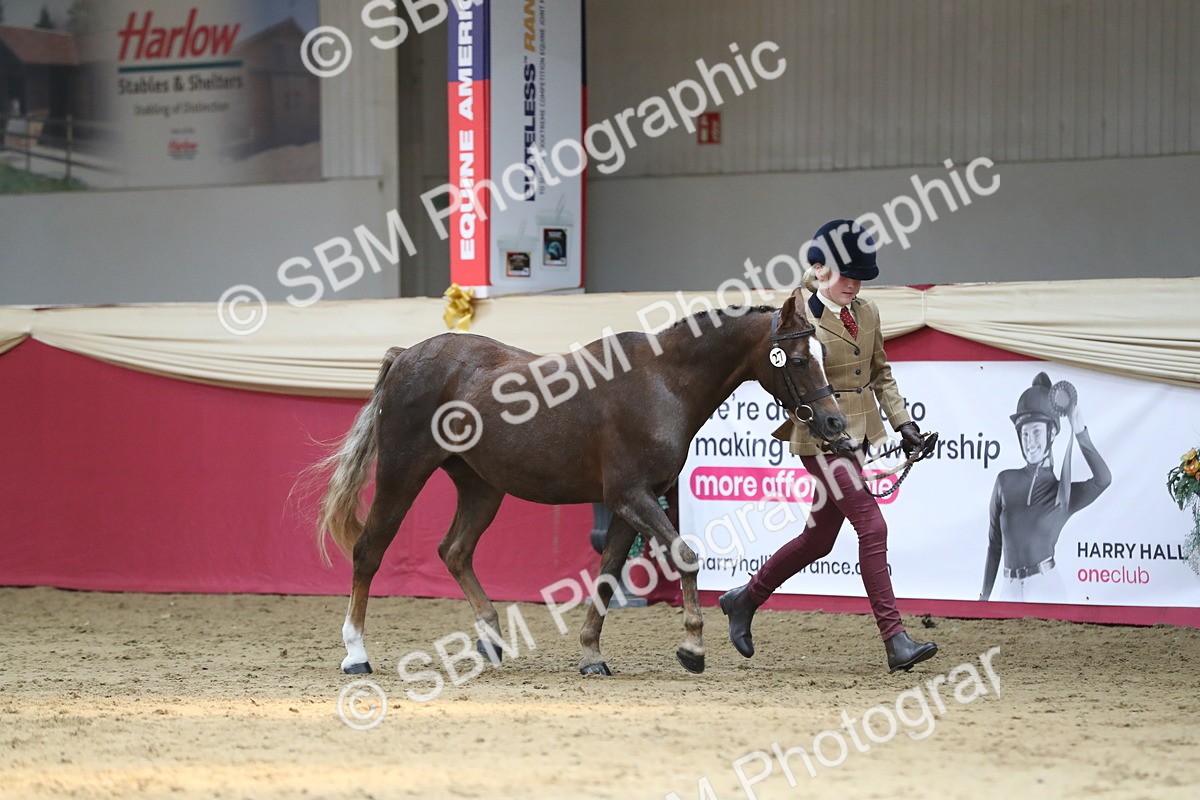 SBM_04304 - Class 7R Regional - IH Diamond