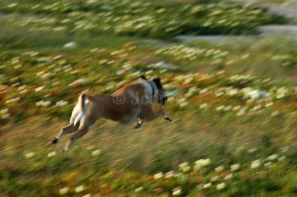 On the move - Lara Rara