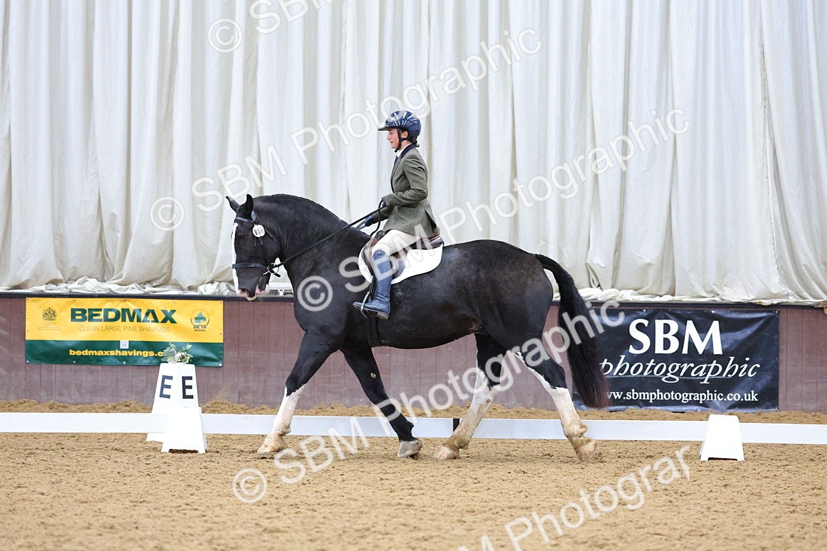 SBM_000665 - Class 3 - Prelim 2