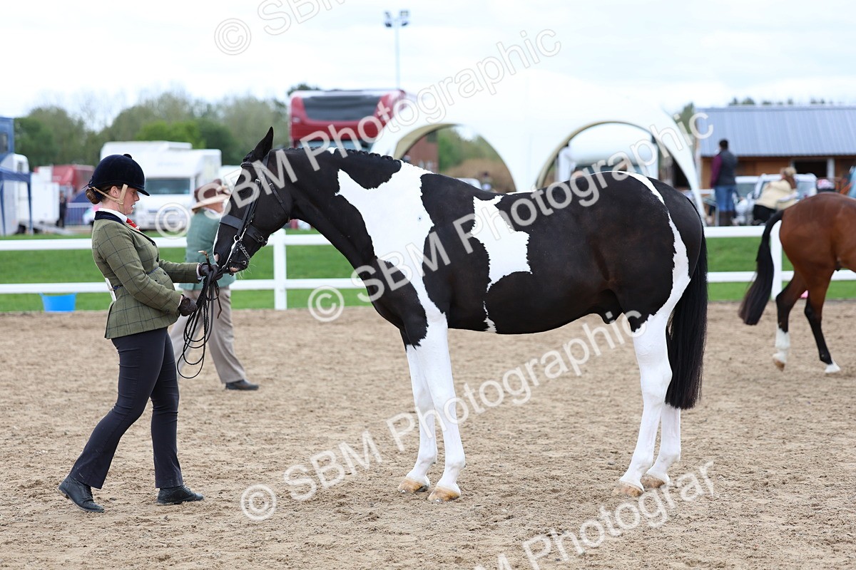 SBM_05093 - Class 27 - IH Competition Horse or Pony