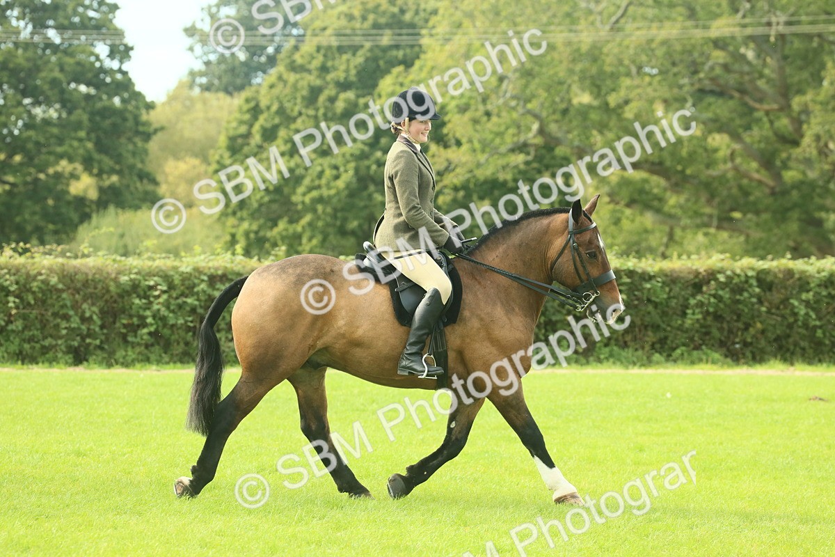 SBM_68211 - S58 - Mini Show Cob Ridden