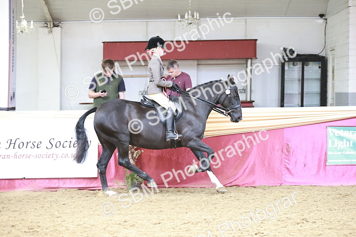 SBM_08662 - Regional Ridden Champ