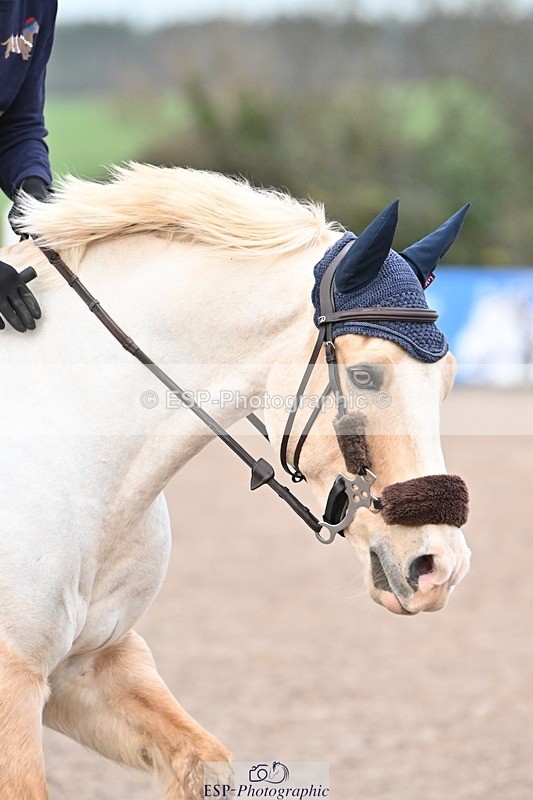 241206-091951-00468 - Cls 1 Clear Round