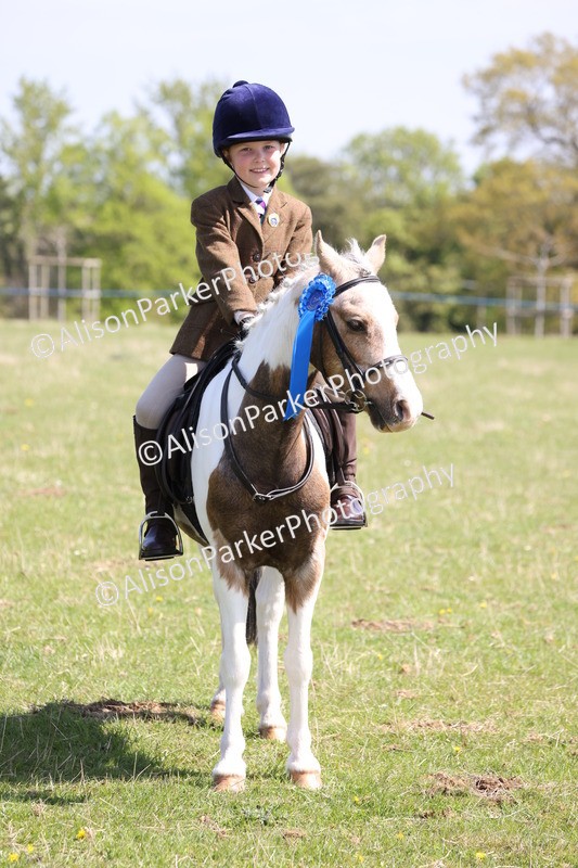 20250427-3304 - Class 33 - Best Pony 14.2hh and Under