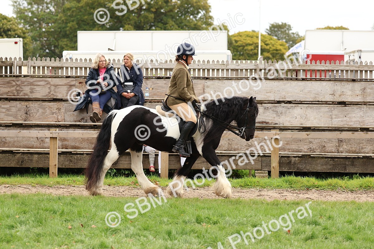 SBM_64426 - S58 - Coloured Pony Ridden