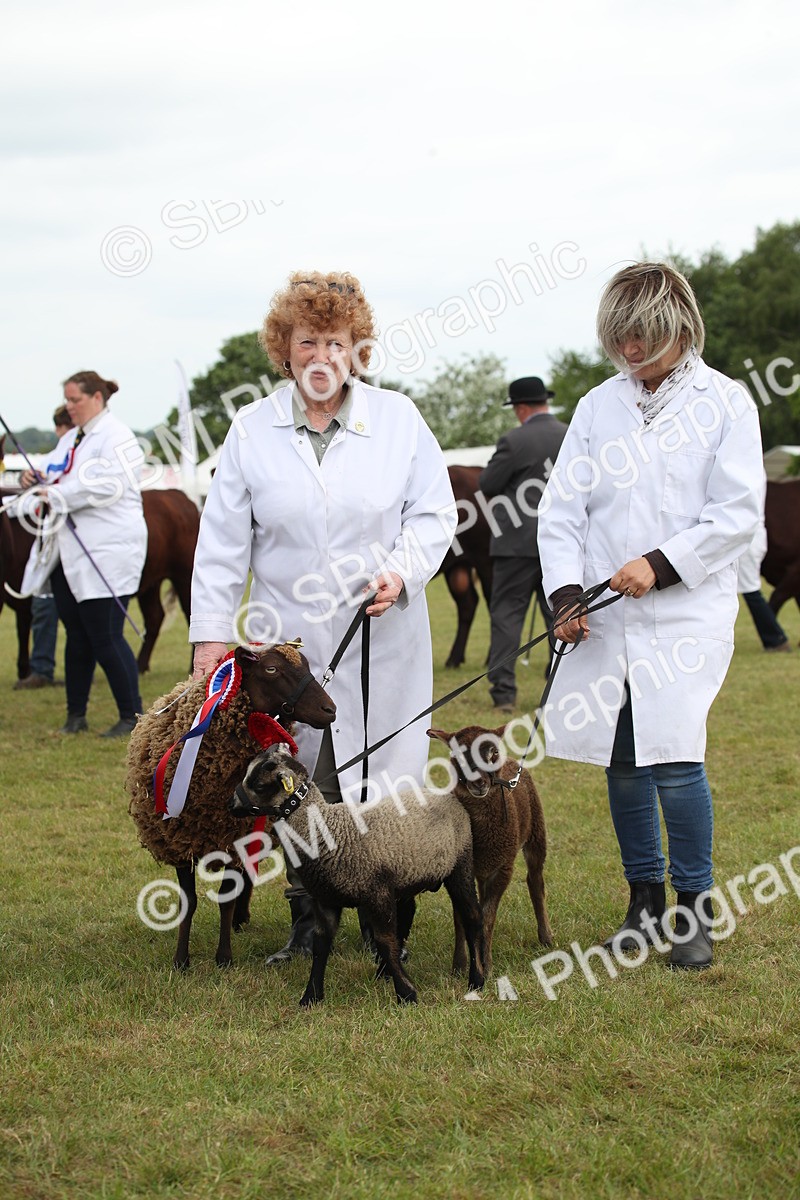 SBM_07877 - Grand Parade