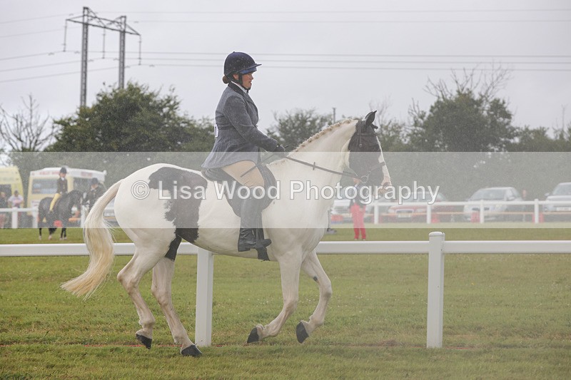 1X9A3004 - Class 26: Ridden Plaited Coloured Pony