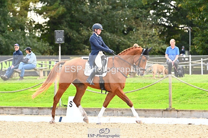 231020-145527-10036 - 311-DALOUBET.MANSOLEIN.Z-Kat.Raybould-DR