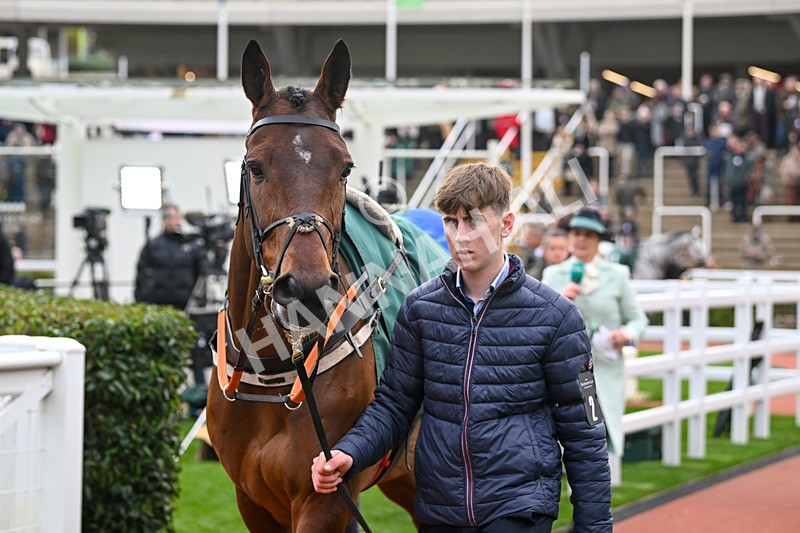 161124-Race 5-Paddock-Zeeband-0706 - Race 5