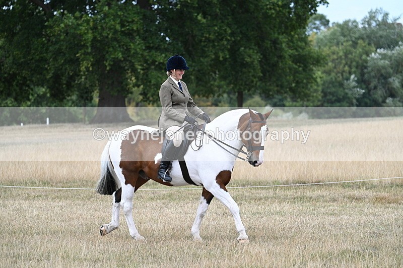 WJ7_4614 - Class 12 Ridden Cob