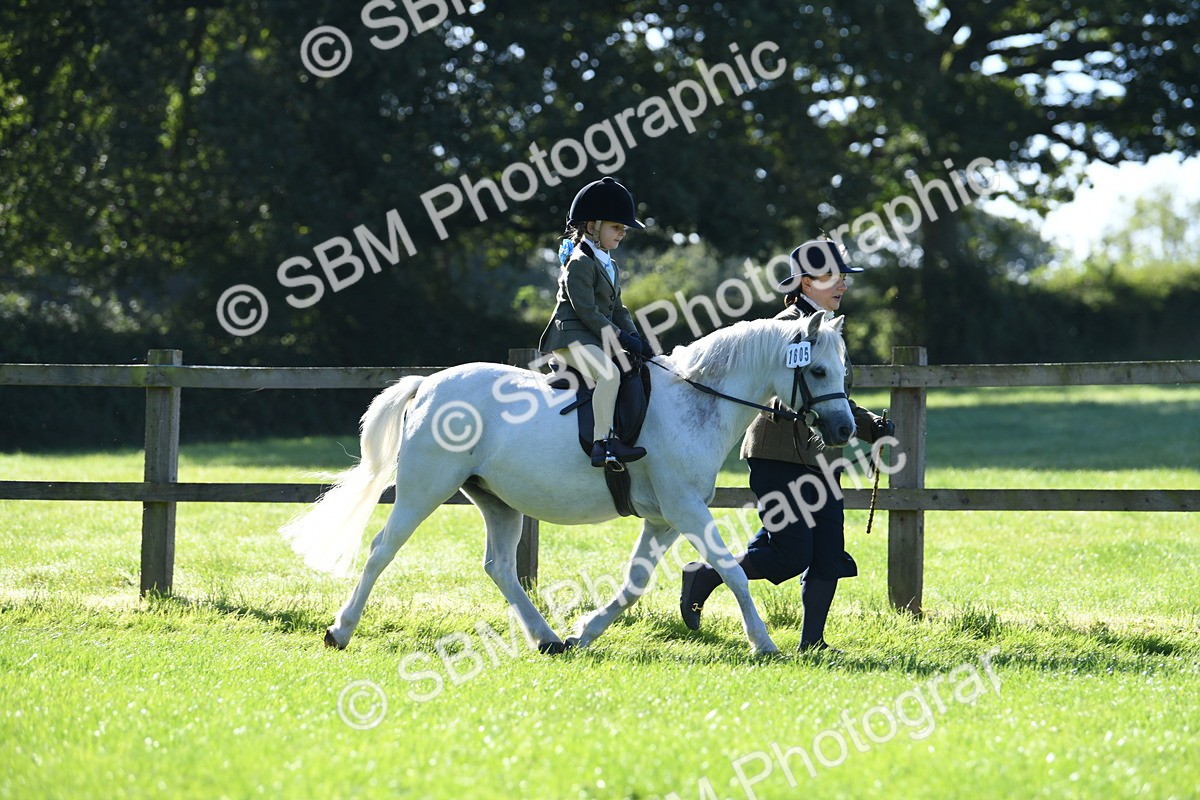 SBM_36768 - S18 - Novice & Newcomers Lead Rein Pony