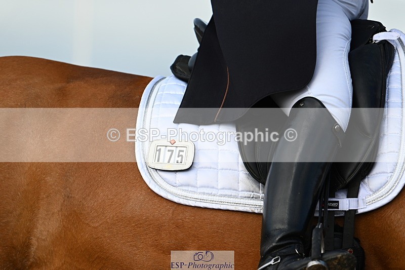 240218A-113439-06408 - 175-Jane.Morris-Silverstar.Z