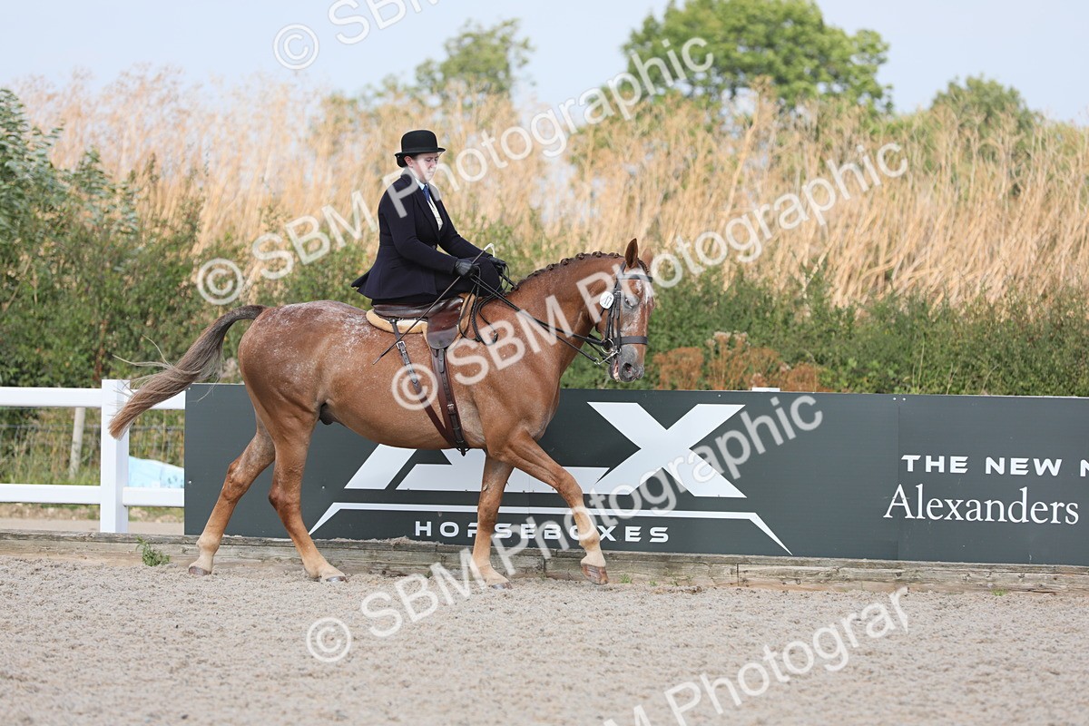 SBM_14519 - Class 211 Best Side Saddle Horse/Pony