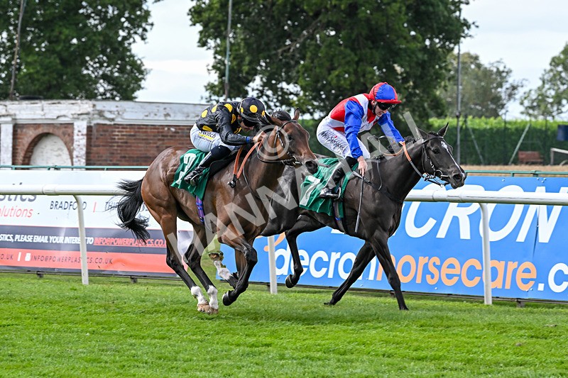 080825-Race 3-Bosom Pals-2156 - Race 3