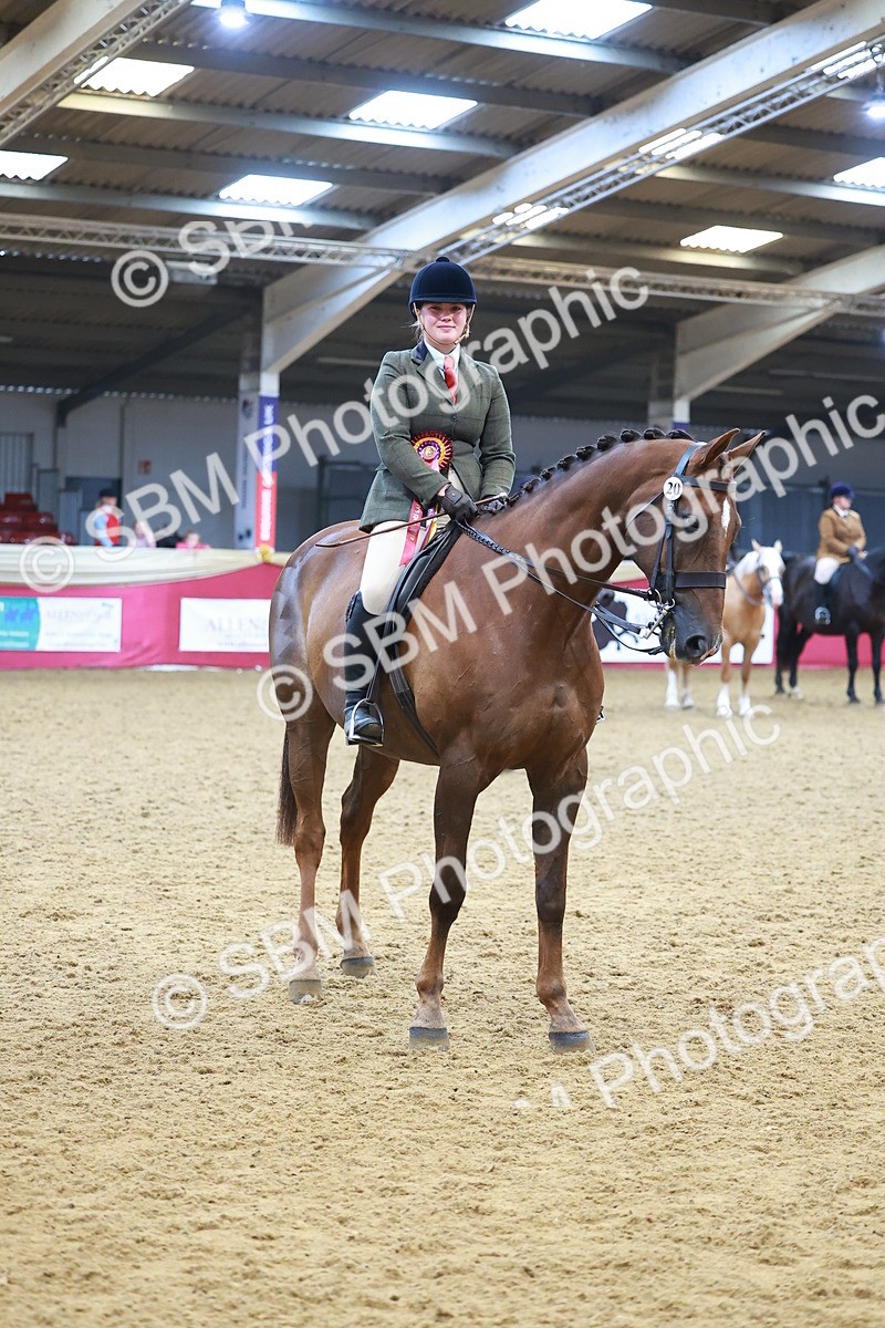 SBM_09858 - Class 102 - HOYS Veteran Qualifier - Ridden Veteran