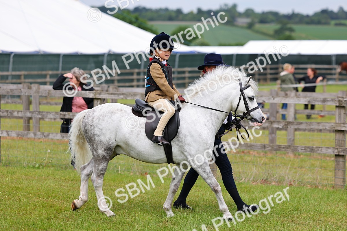 SBM_08059 - Class 42-43 - LIHS BSPS Heritage Working Sports Pony