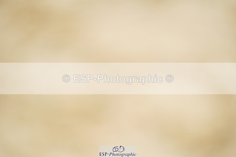 240309-130738-00811 - Cls 02 AE 80cm