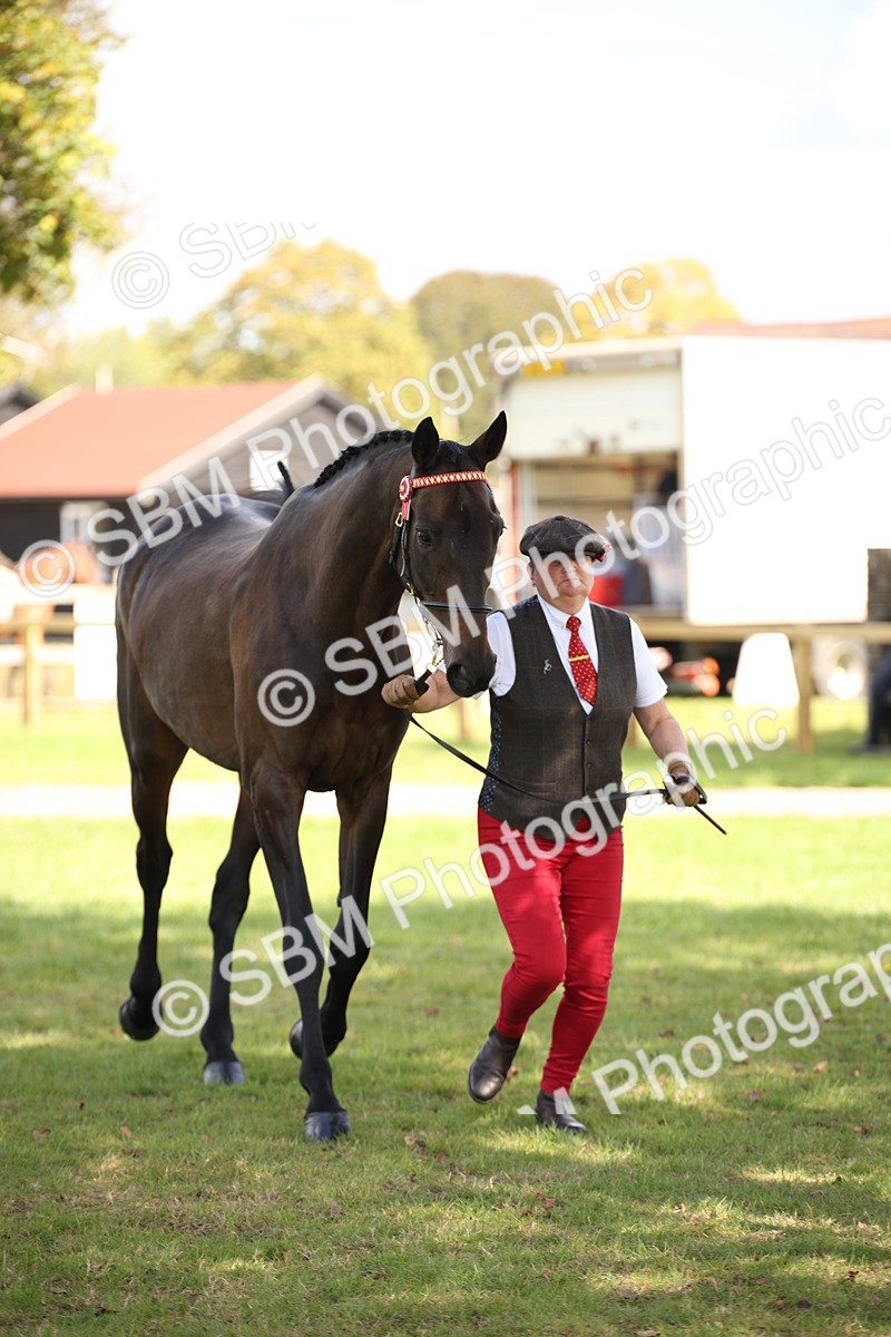 SBM_44433 - S24 - Young Veteran in hand