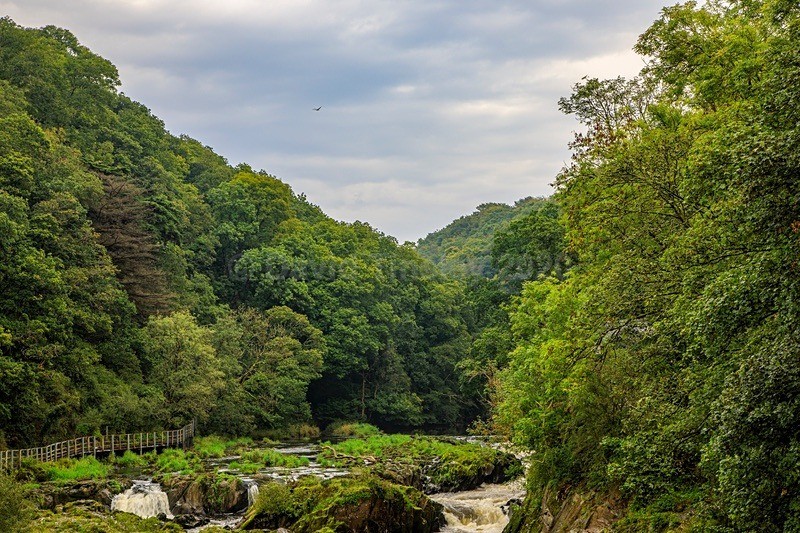 Walking Upstream - Mid Wales