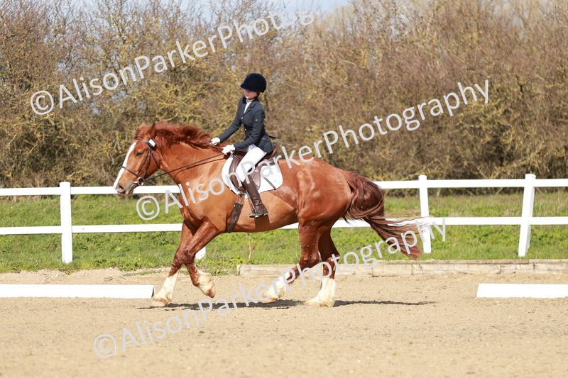 20260314-2934 - DR3 - Prelim 1