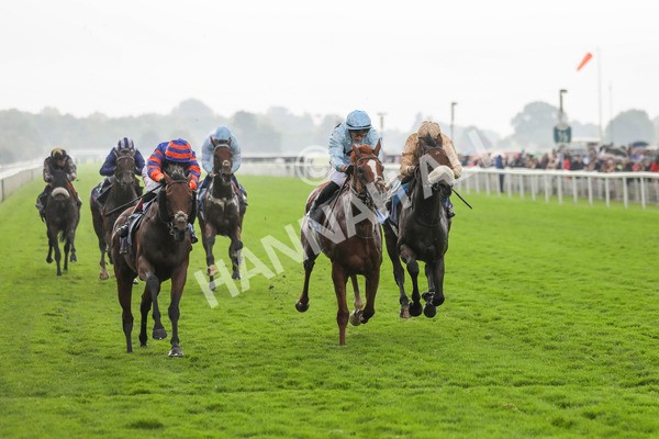 080924-Race 4-Zain Blue-4476 - Race 4 3.25pm PJ Staffing Group Handicap