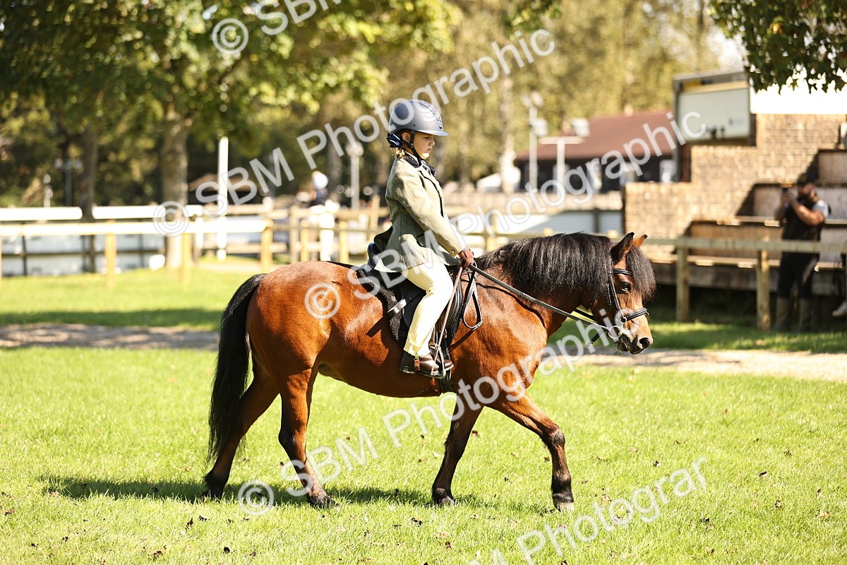SBM_19237 - S3 - TSR Ridden Pony Showing