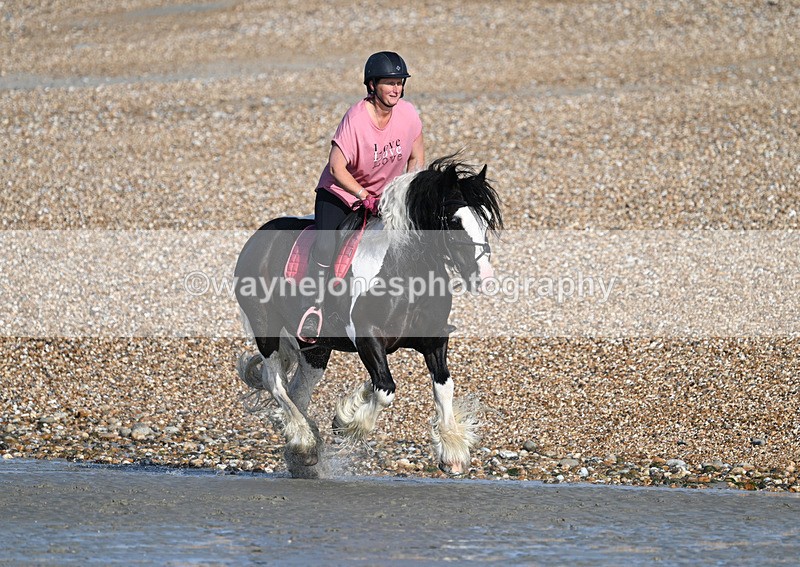 WJ7_3780 - Kellie & Churchill ... do Hayling Island 25-08-24