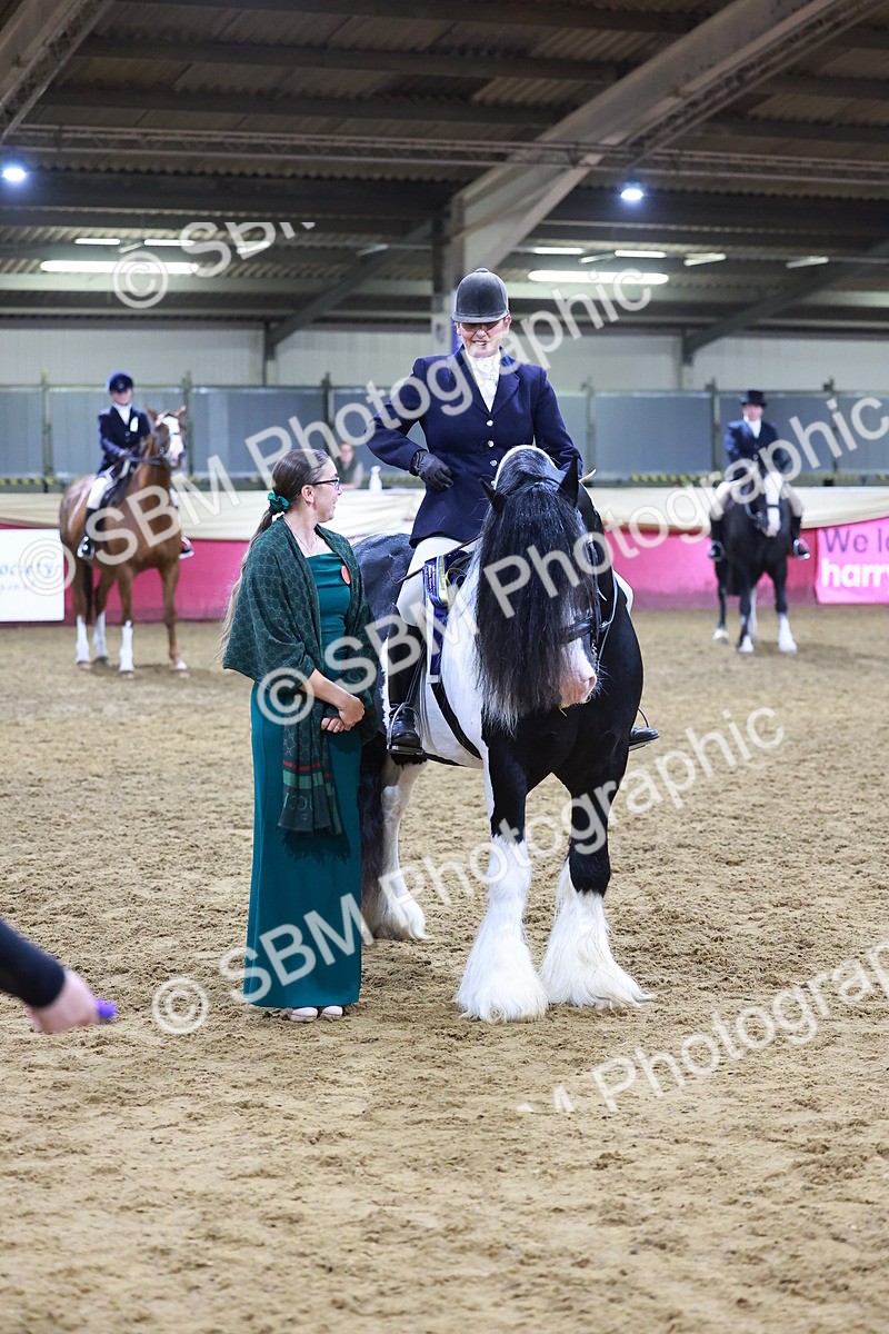 SBM_15432 - Class Q - Ridden Horse Champ