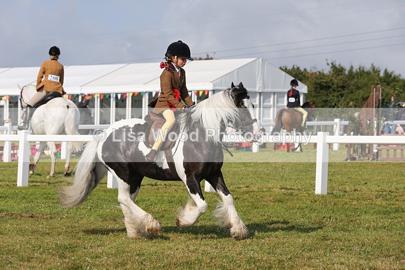 1X9A3420 - Class 28: Ridden Native/Trad Coloured Pony