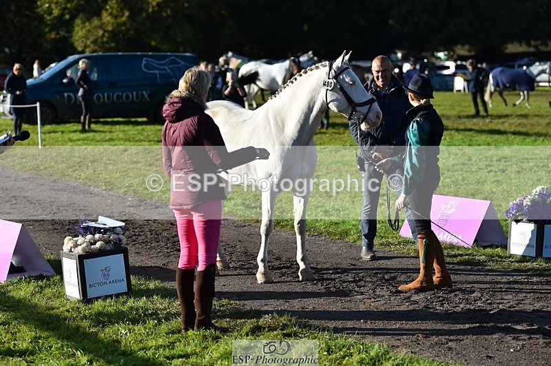 231022-095540-22118 - 480-REDPARK.SAMMEY-Eliza.Peters-TrotUp+SJ