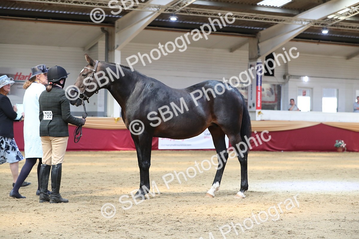 SBM_04417 - Class 7R Regional - IH Diamond