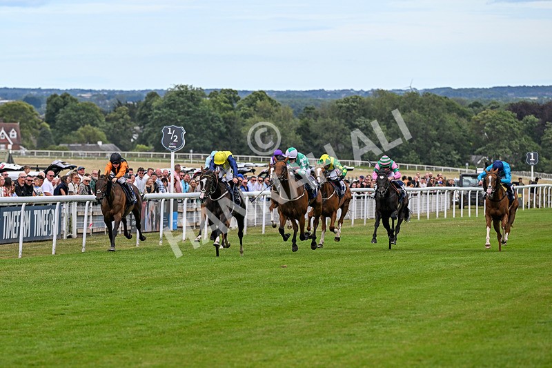 040726-Race 5-Porth Eilian-4915 - Race 5 16.35pm Weatherbys Global Stallions App Coconut Cup Fillies' Handicap