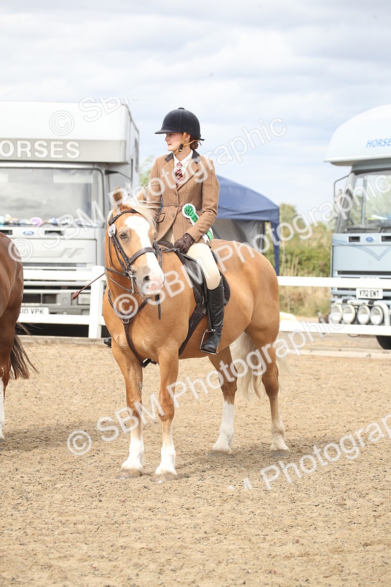 SBM_17792 - Class 508a - Working Veteran 70cm (15-19)