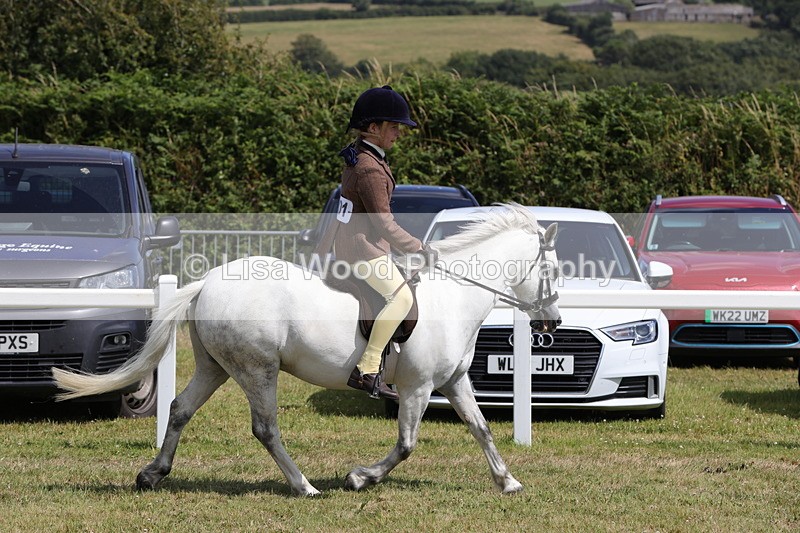 1X9A5341 - Class 37: NPS M&M First Ridden