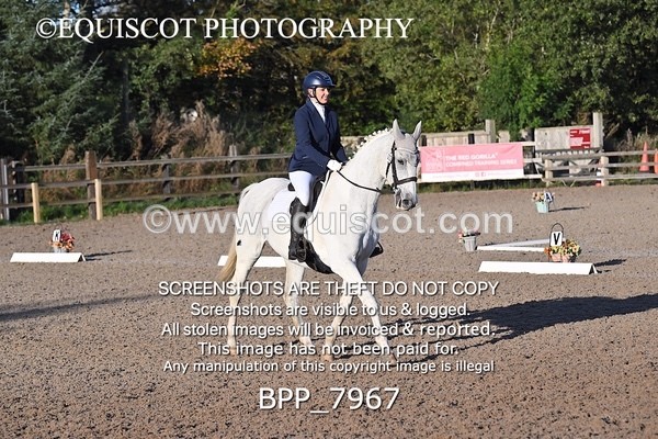 BPP_7967 - LONG ARENA