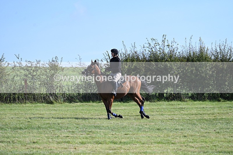 WJ7_5764 - Time 10:38 to 10:51