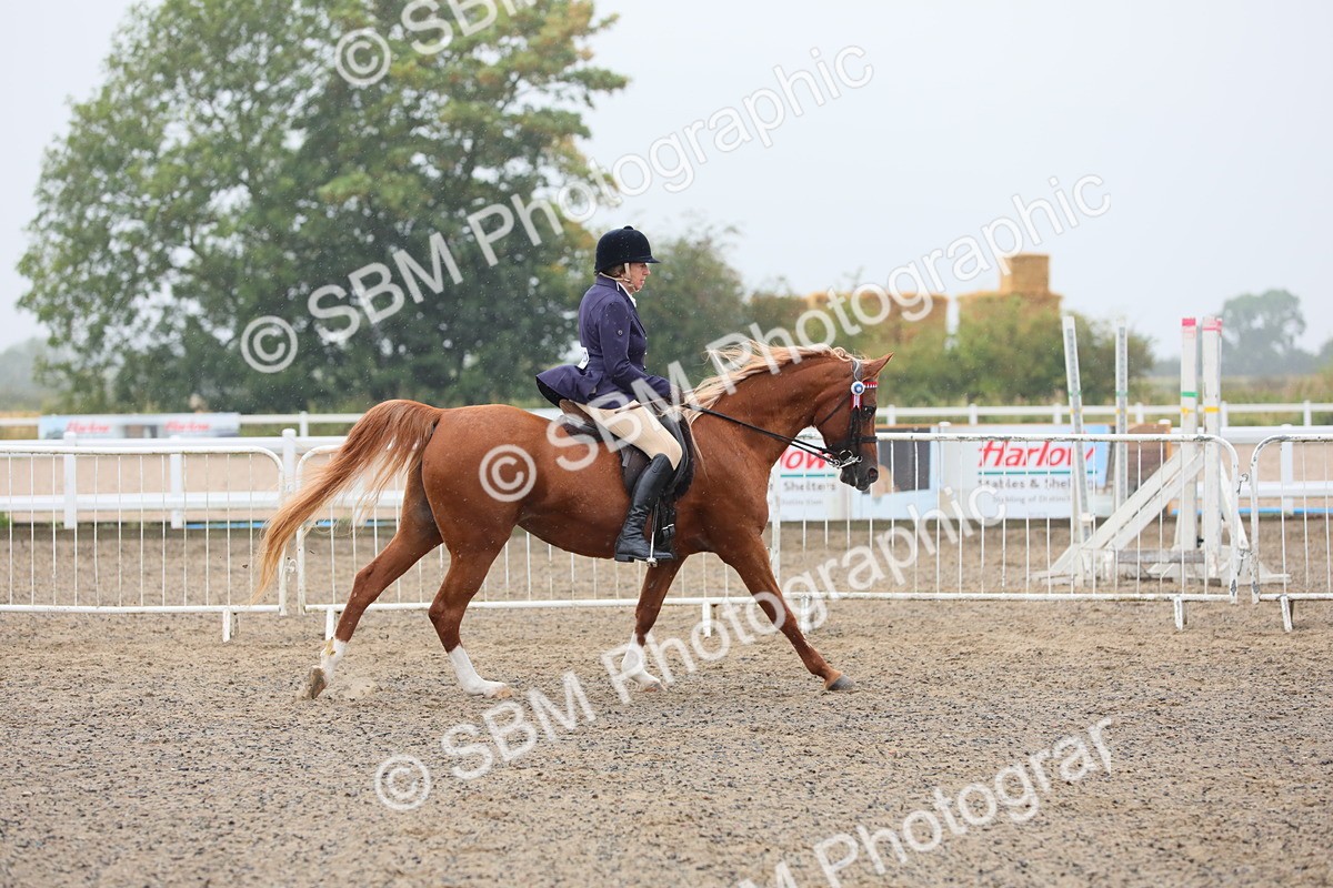 SBM_20285 - Class 803 - Ridden Combination 65+