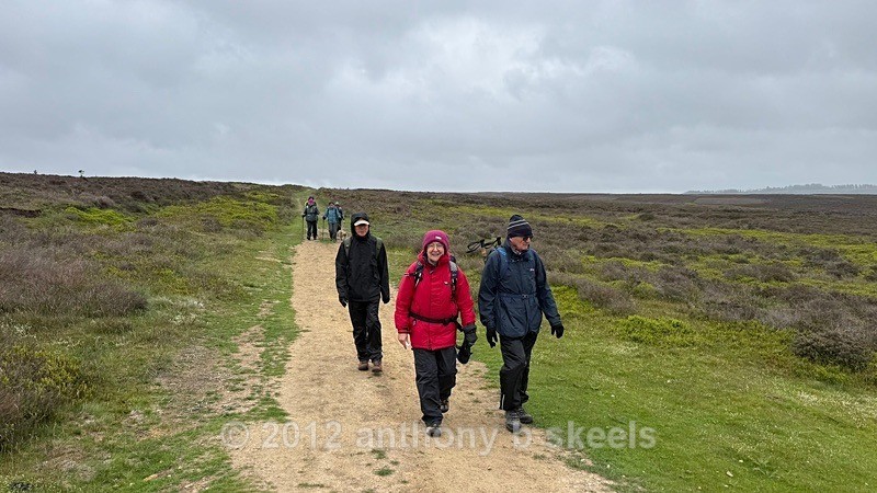 022 Heading of on Levisham Moor Courtesy of D Thewlis - York Minster Walkers Collection 2026