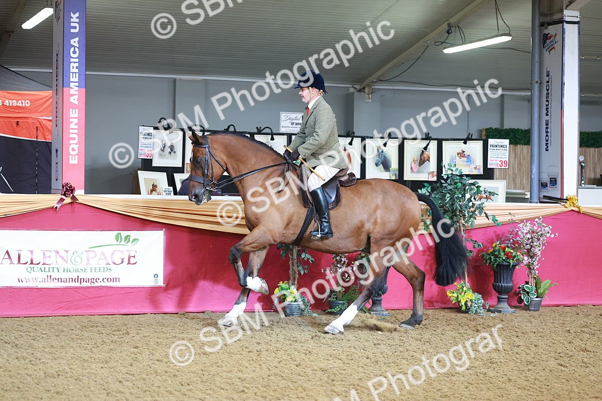 SBM_07644 - Class 101 - HOYS Veteran Qualifier - Ridden Diamond