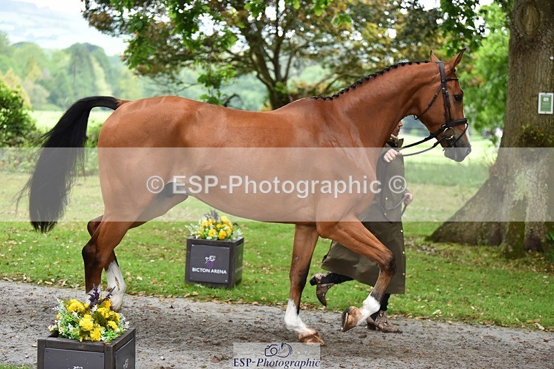 240522-171406-01471 - 255-BALANCERO-Laura_Collett