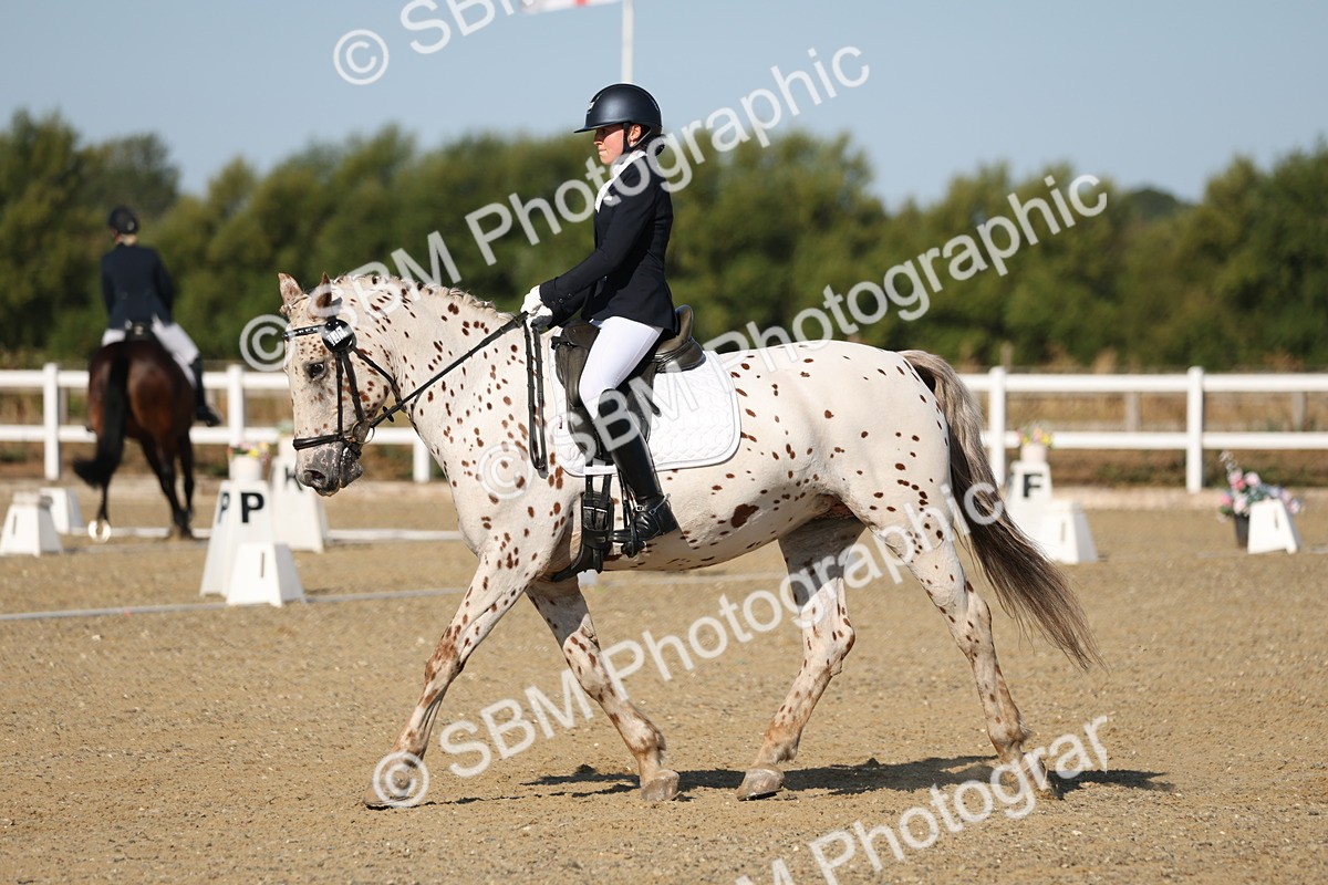 SBM_012677 - Class 1 - P5 Bronze 9.00.10.12