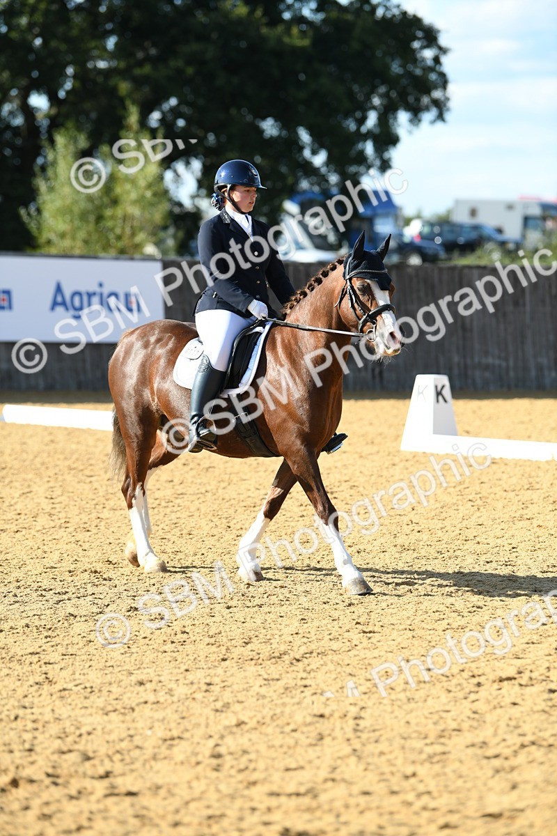 SBM_27233 - D16 - Small Tour Championship - Novice 28