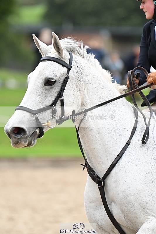 240929-134603-00990 - Cls 3 90-95cm