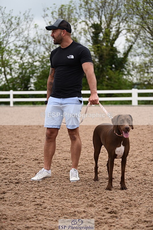 240518A-122340-01145 - Cls 4 Best Crossbred