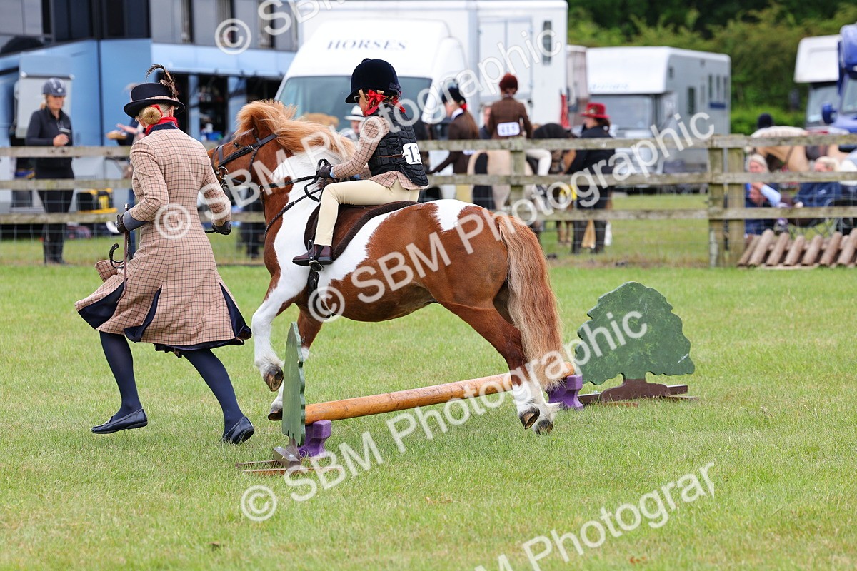 SBM_08239 - Class 42-43 - LIHS BSPS Heritage Working Sports Pony