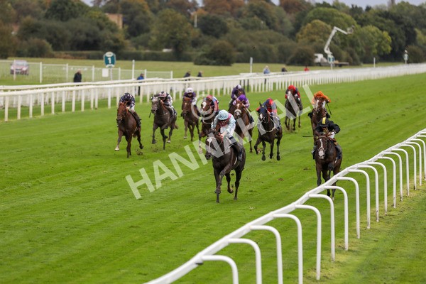 131023-Race 2-Lordship-9736 - Race 2 2.40pm William Hill Finale Handicap