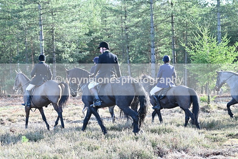 WJ7_7218 - Line 3 (no line 4 or 5)