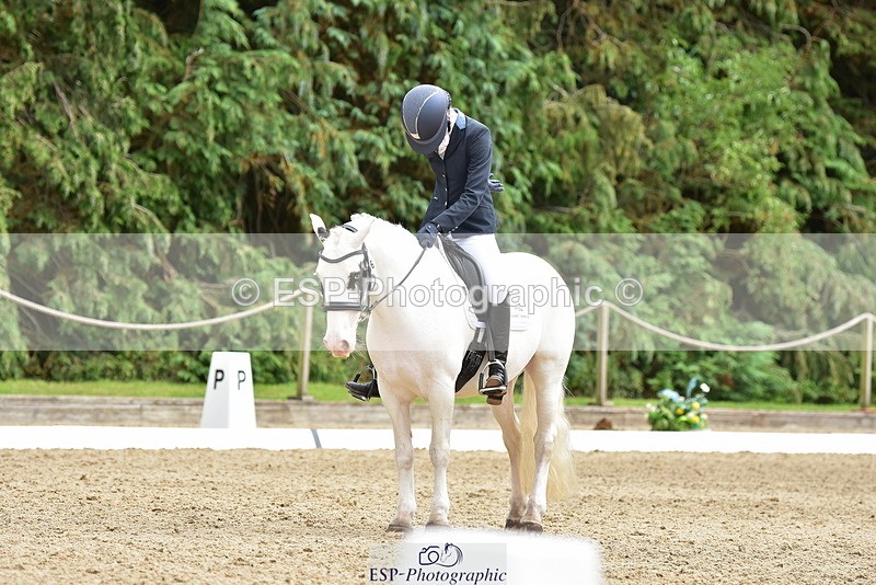 250719A-144000-06332 - 166-Ruby.Vincent-Silver.lining